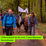 Ulrike Schaich ist die erste “Lama-Pfarrerin” Deutschlands. - Bild: Ulrike Schaich auf einer Wanderung mit Lamas und Menschen