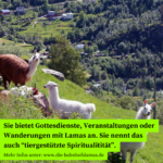 Sie bietet Gottesdienste, Veranstaltungen oder Wanderungen mit Lamas an. Sie nennt das auch “tiergestützte Spiritualitität”. -Bild: Lamas in den Bergen
