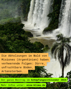 Die Abholzungen im Wald von Misiones (Argentinien) haben verheerende Folgen: Dürre, unfruchtbare Böden, Artensterben...