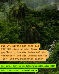 Die Ev. Kirche hat mehr als 230.000 einheimische Bäume gepflanzt, die die Bodenqualität verbessern und als Lebensraum für Tier- und Pflanzenarten dienen.