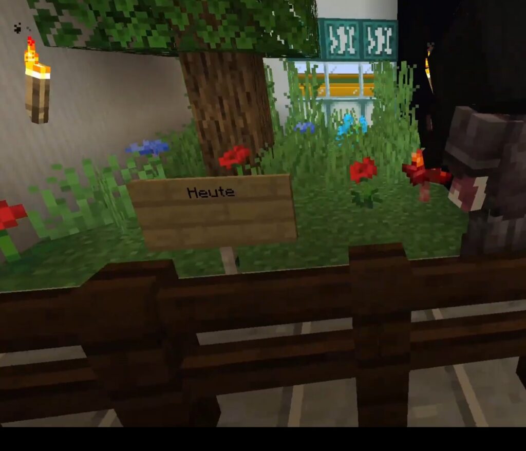 Screenshot aus dem Video