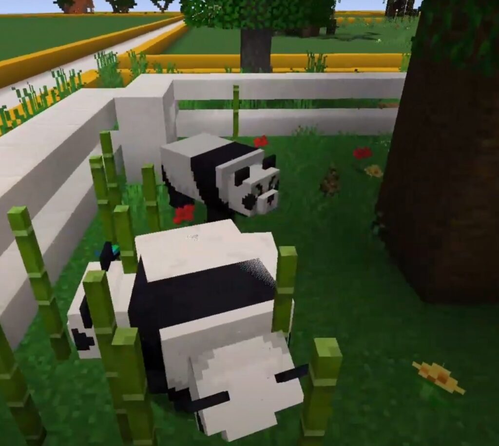 Screenshot aus dem Video