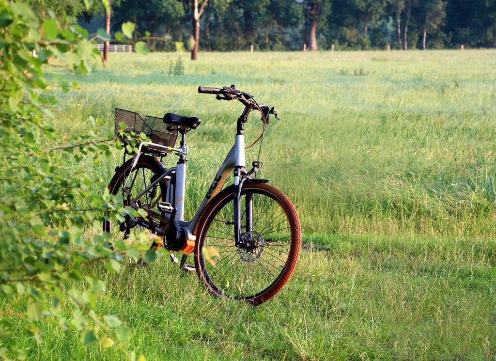 E-Fahrrad auf der Wiese