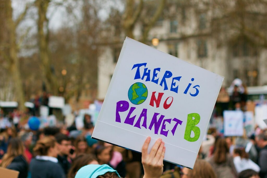 Protestplakat mit Aufschrift: "There is no Planet B"