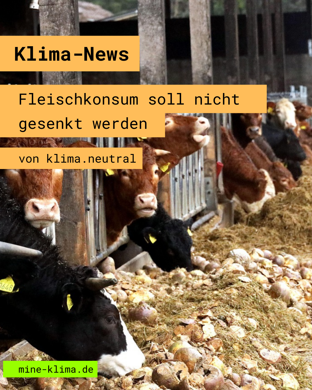 Klima-News: Fleischkonsum soll nicht gesenkt werden