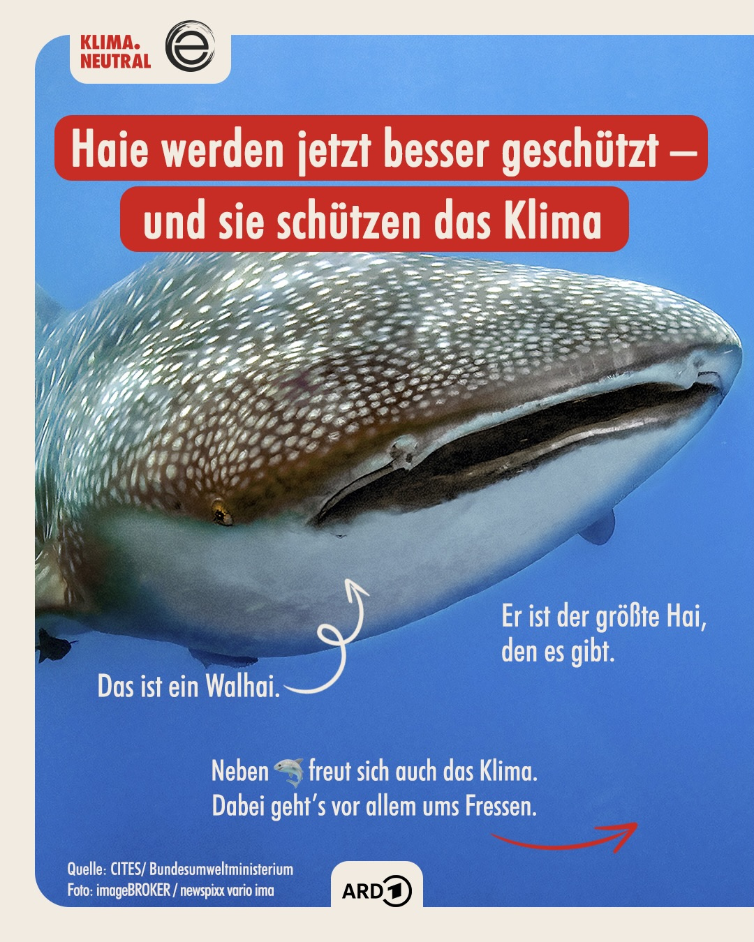 Haie werden jetzt besser geschützt und sie schützen das Klima