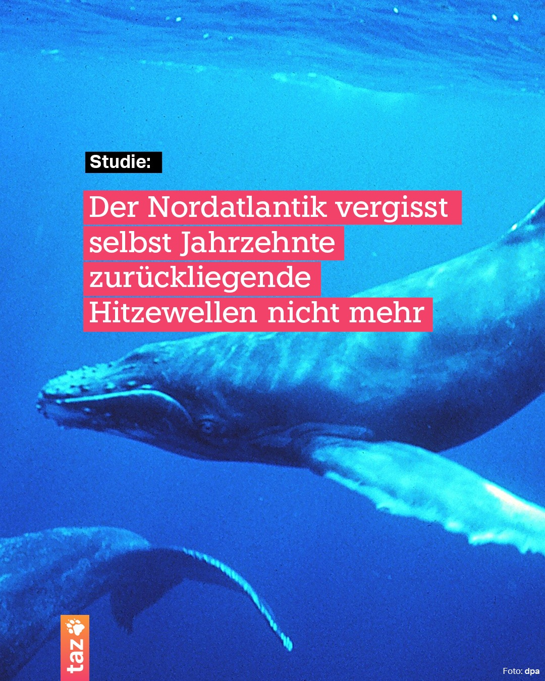 Bild von @klima.taz auf Instagram