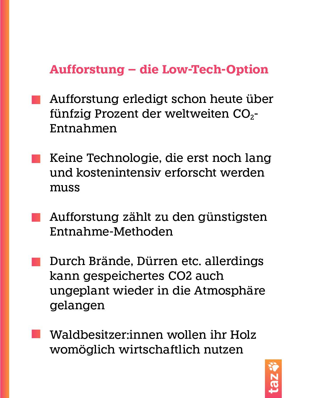 @klima.taz: Aufforstung - die Low-Tech-Option