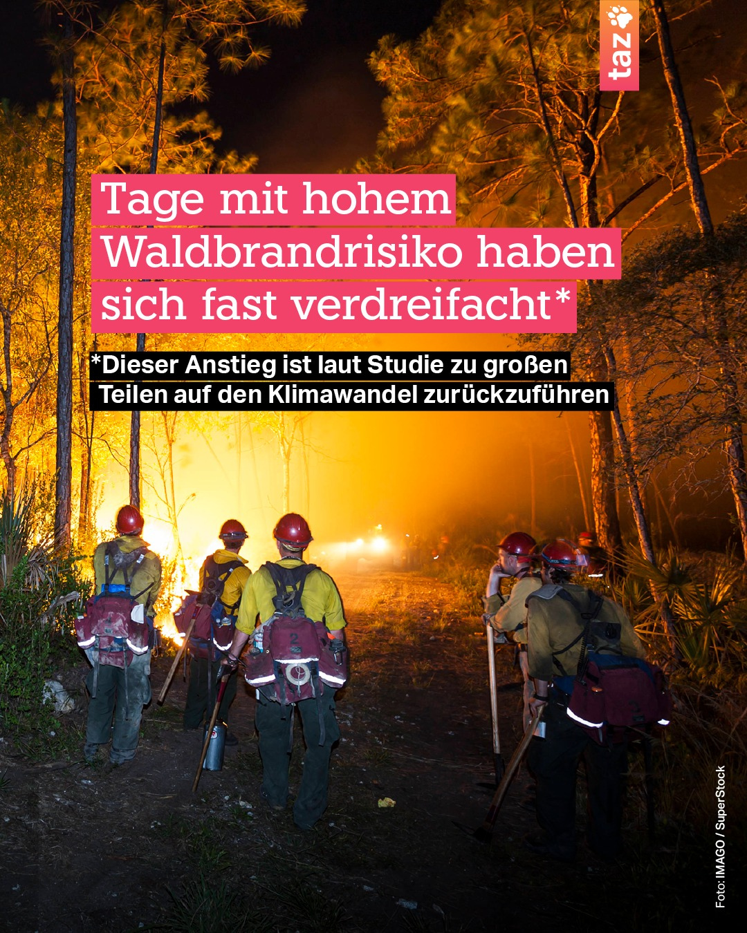 Bild von @klima.taz: Tage mit hohem Waldbrandrisiko haben sich fast verdreifacht
