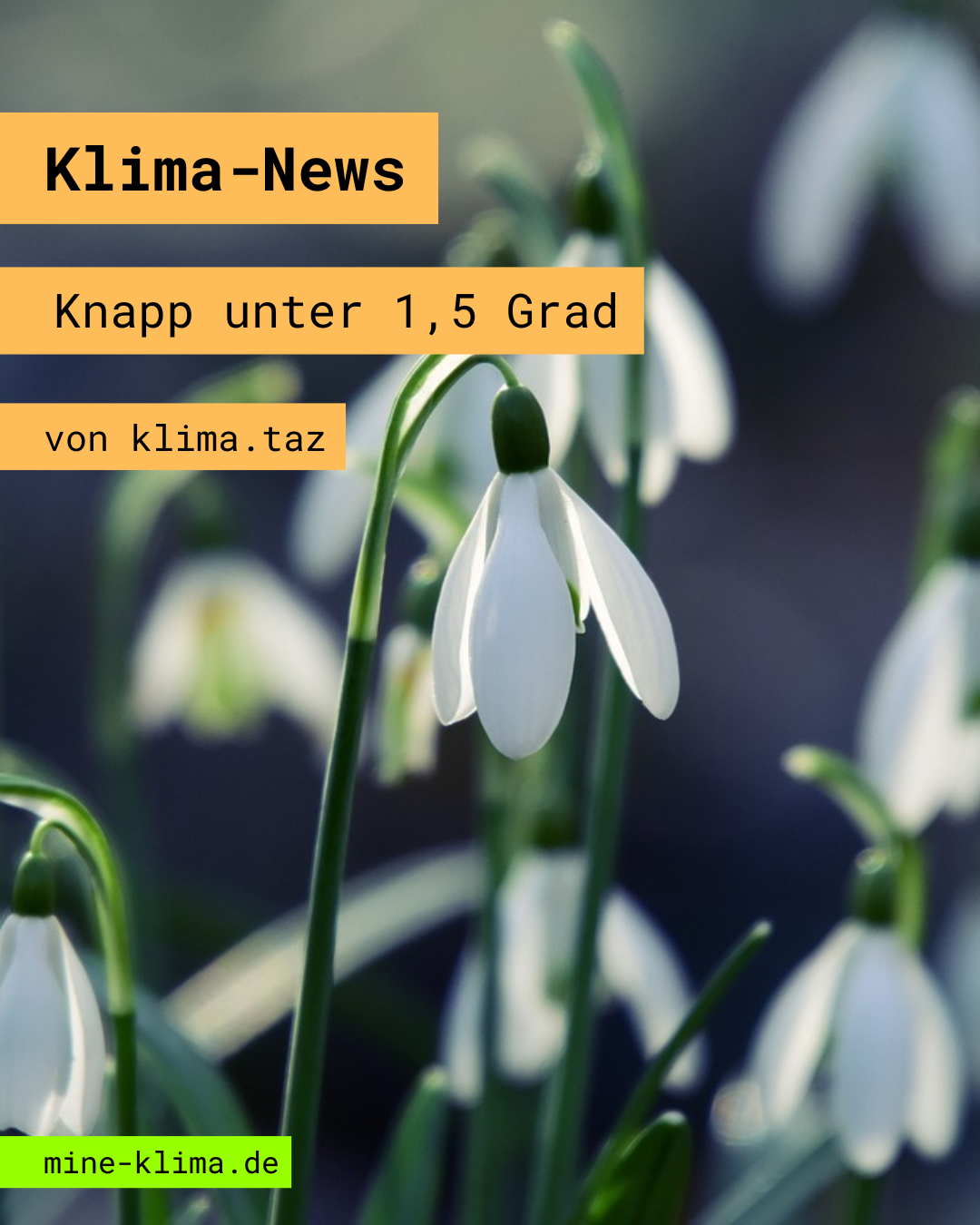 Klima-News: Knapp unter 1,5 Grad