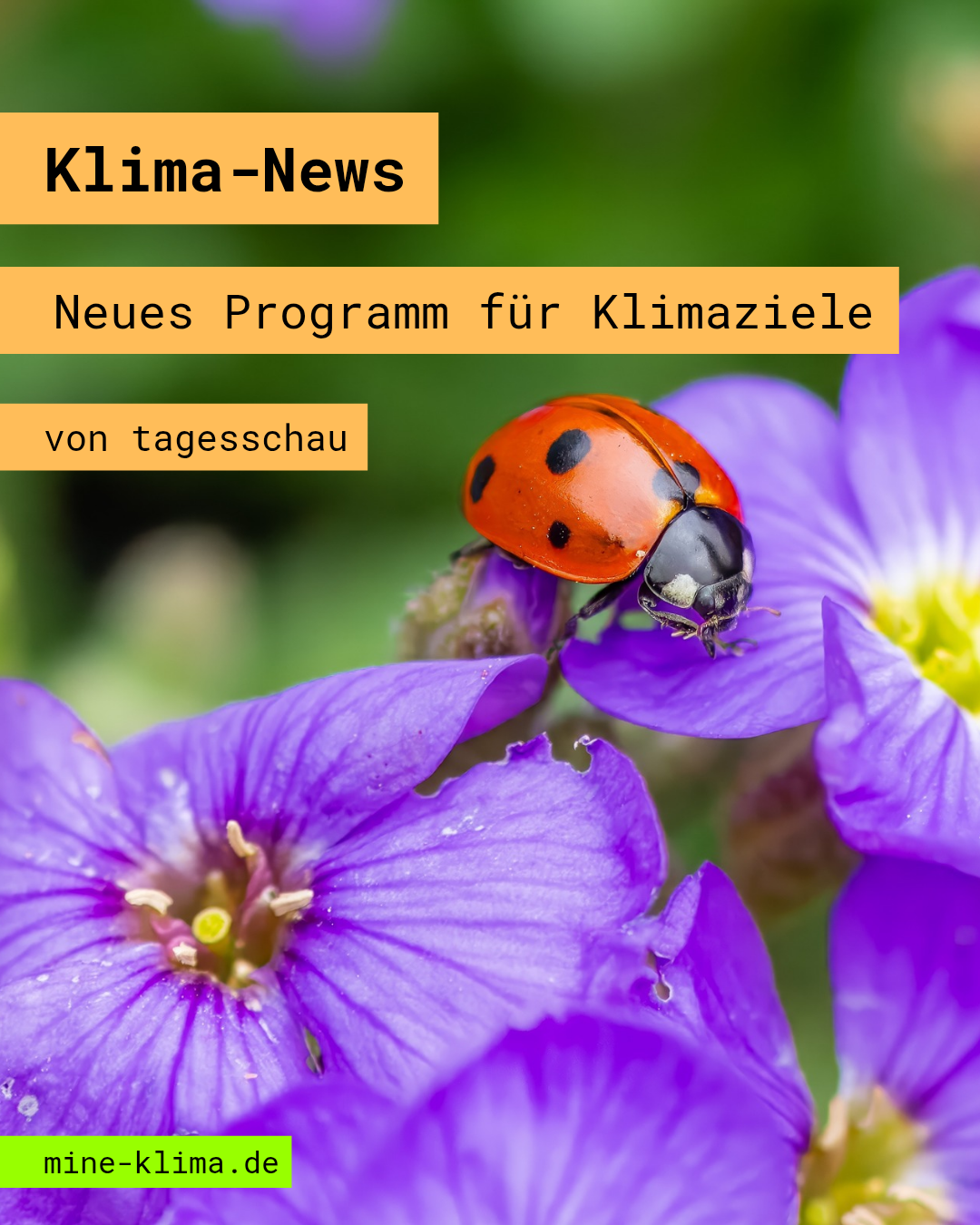 Klima-News: Neues Programm für Klimaziele