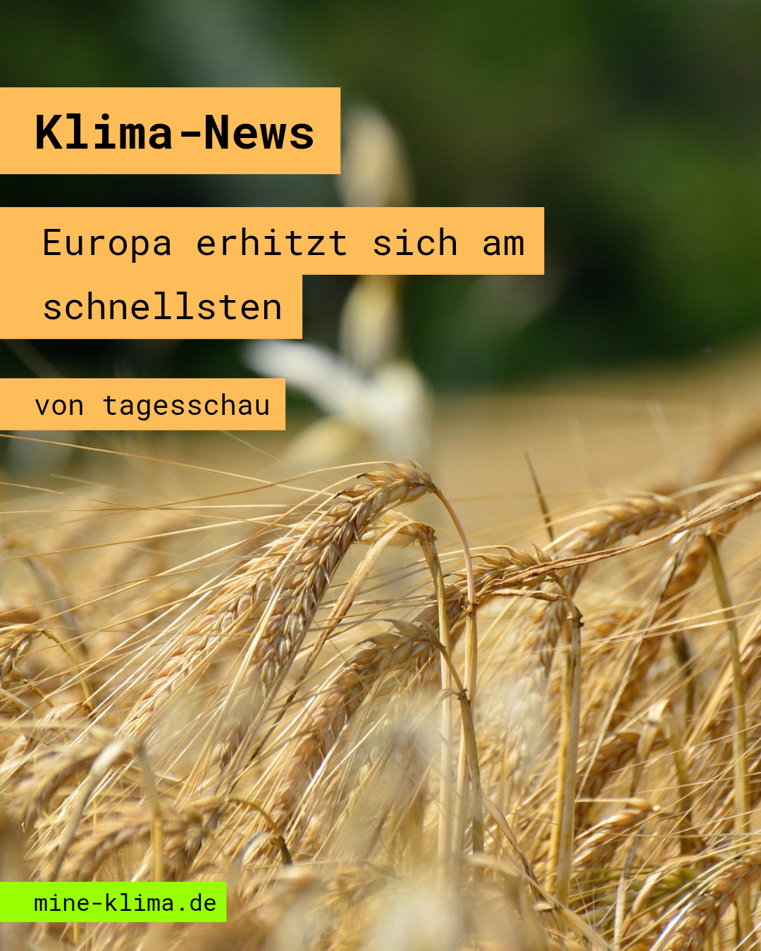 Klima-News: Europa erwärmt sich am schnellsten