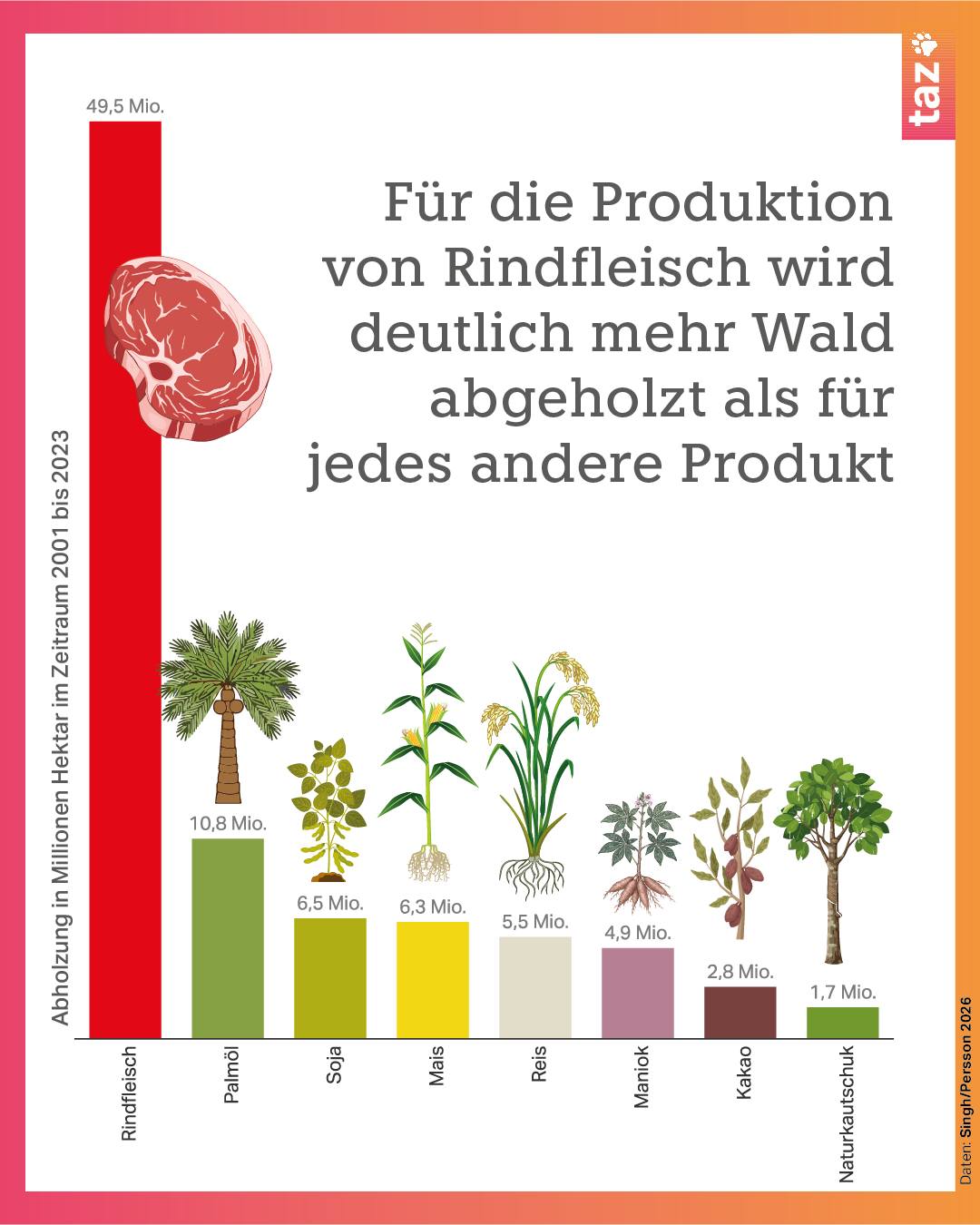 Für die Produktion von Rindfleisch wird deutlich mehr Wald abgeholzt als für jedes andere Produkt