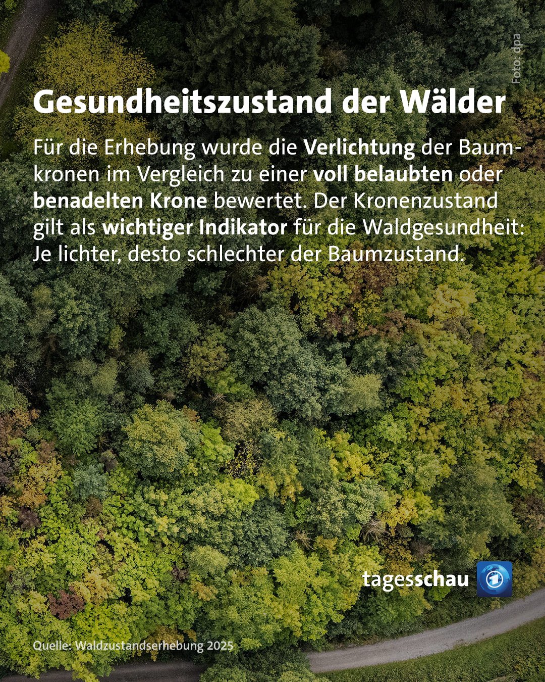 @tagesschau: Gesundheitszustand der Wälder