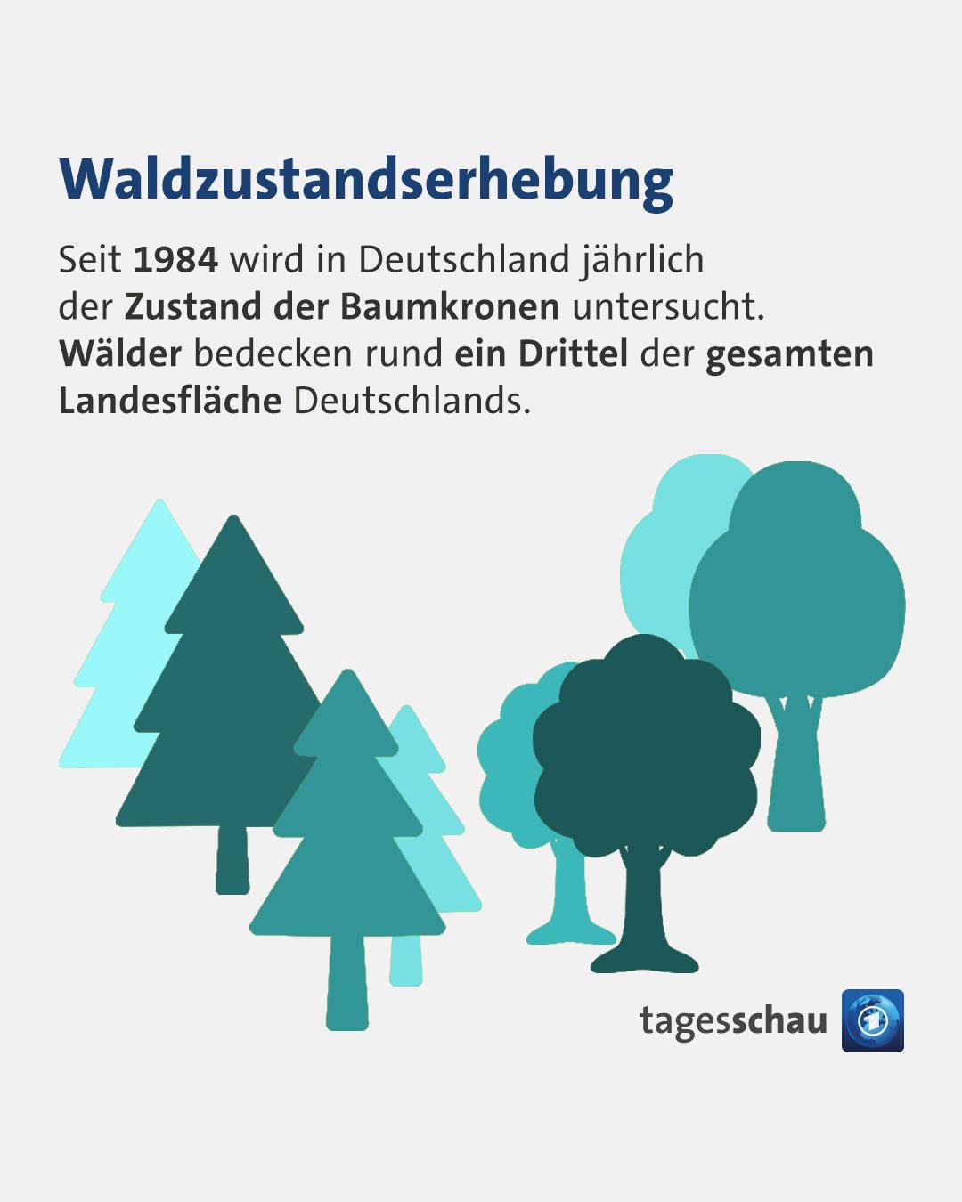 @tagesschau: Waldzustandserhebung