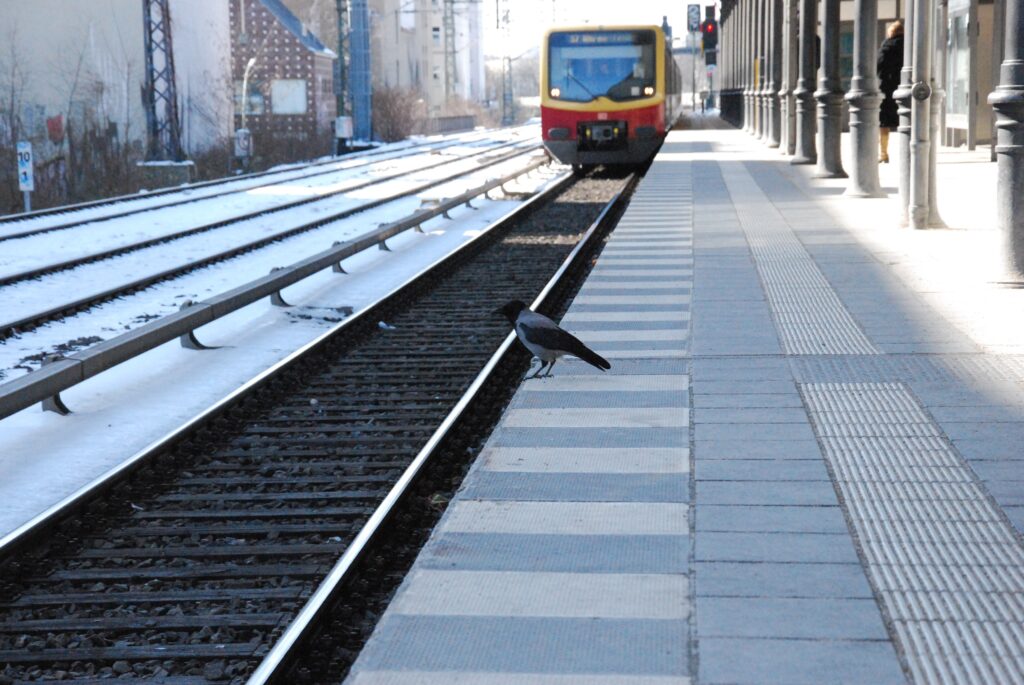 Einfahrende Bahn in den Bahnhof