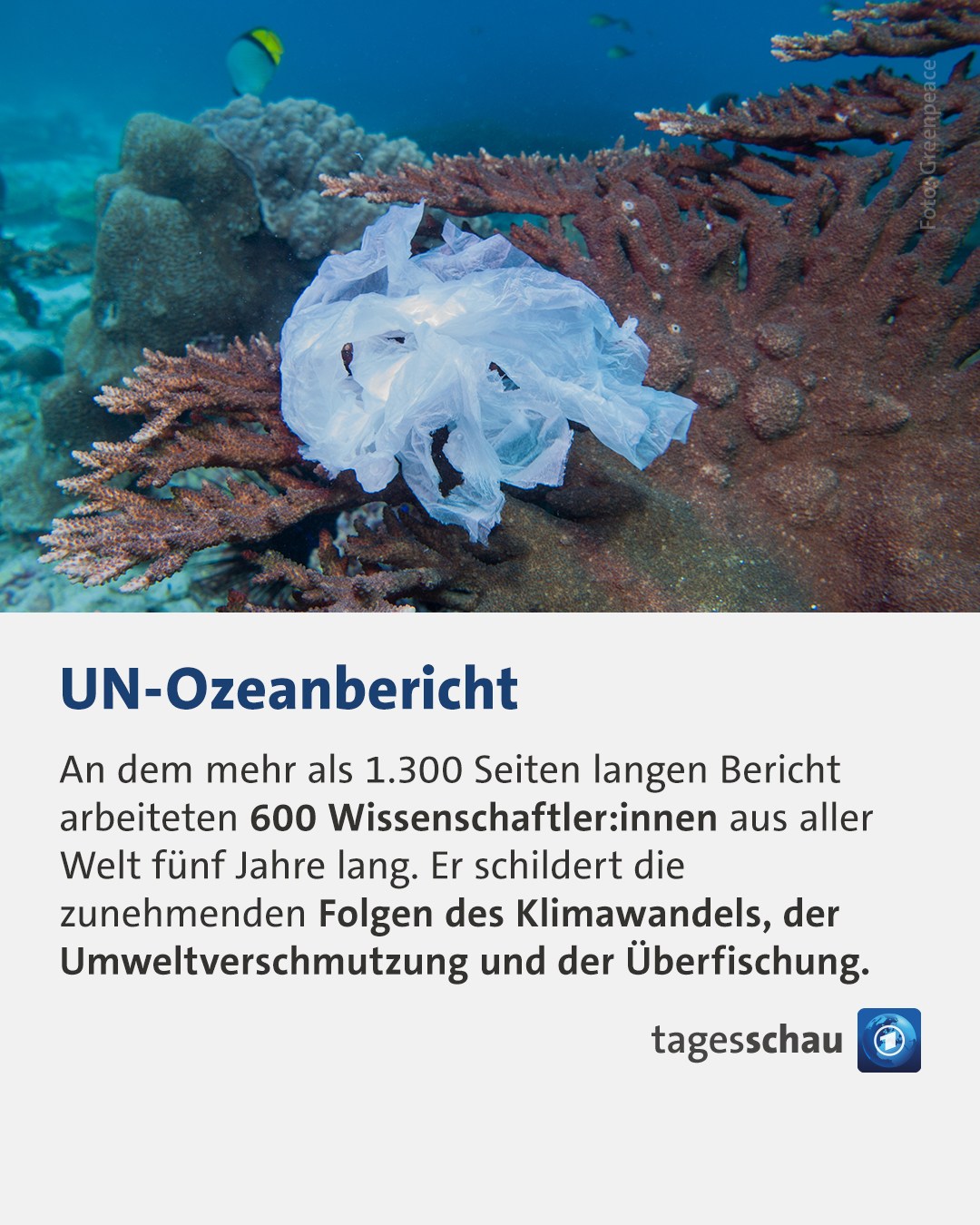 @tagesschau: UN-Ozeanbericht