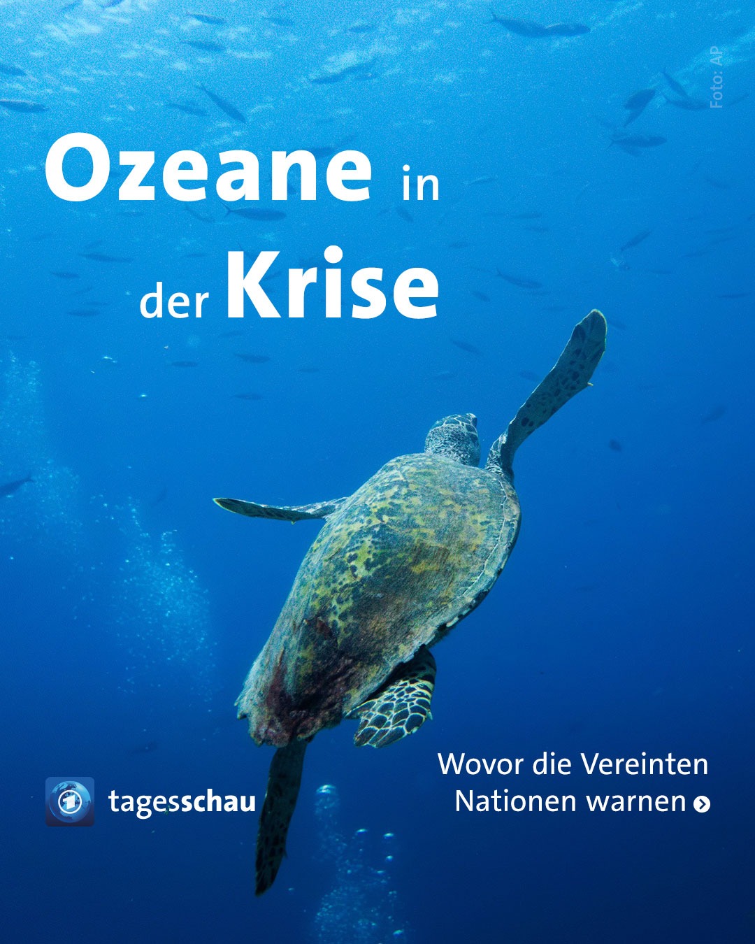@tagesschau: Ozeane in der Krise