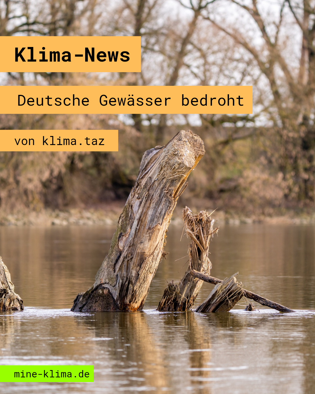 Klima-News: Deutsche Gewässer bedroht