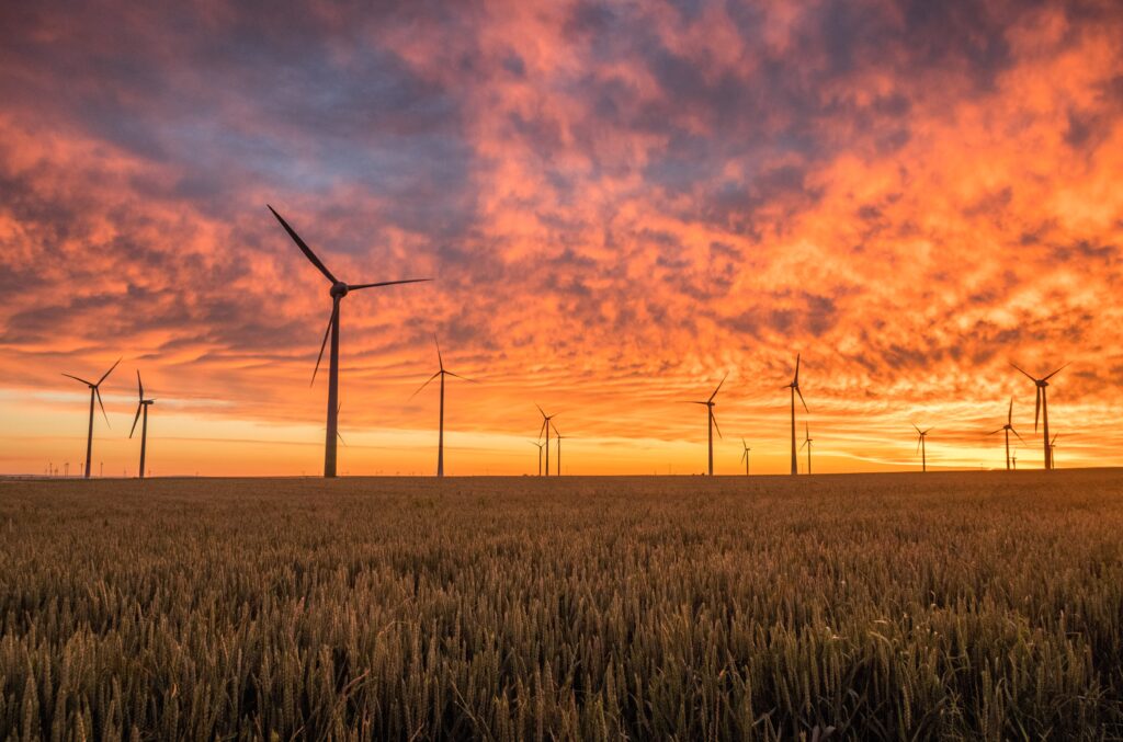 Windräder vor Sonnenuntergang