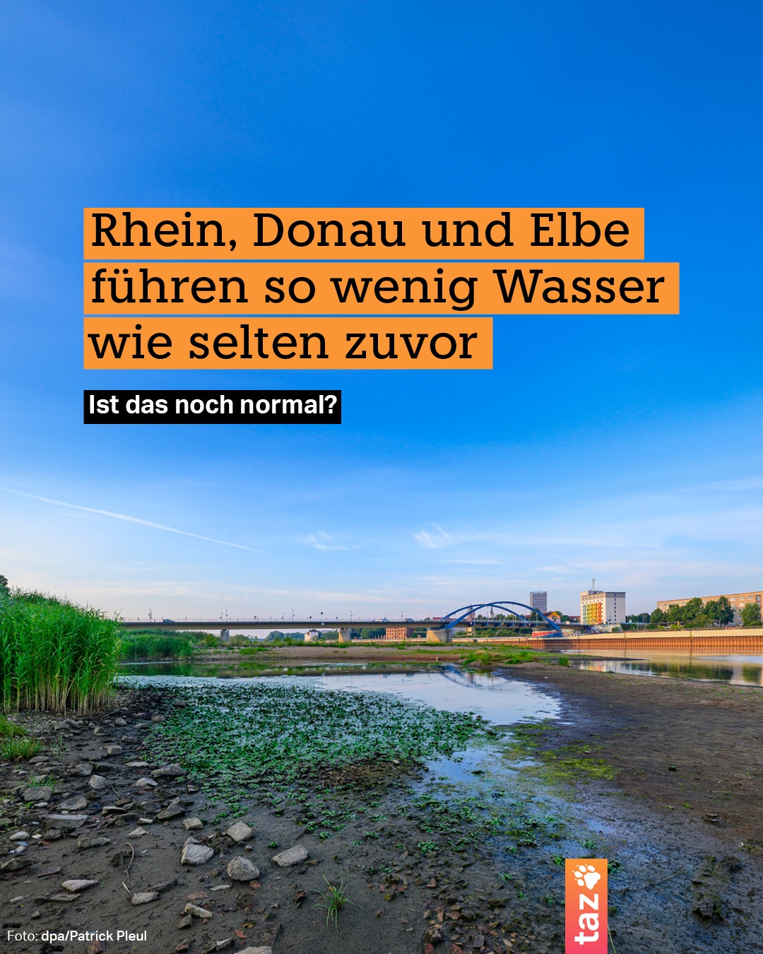@klima.taz: Rhein, Donau und Elbe führen so wenig Wasser wie selten zuvor