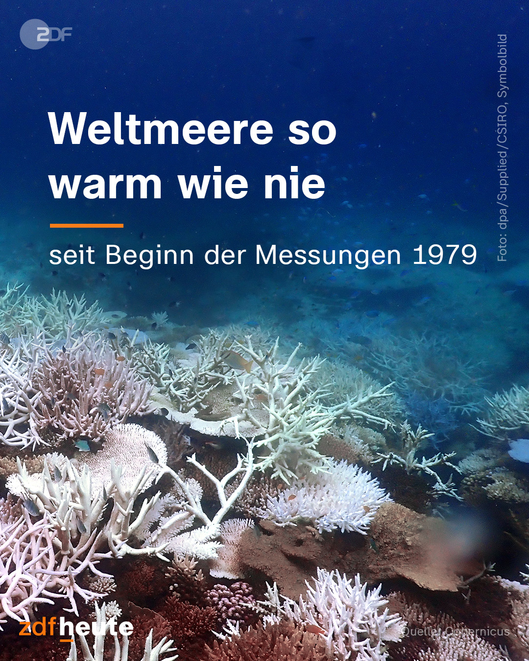 @zdfheute: Weltmeere so warm wie nie