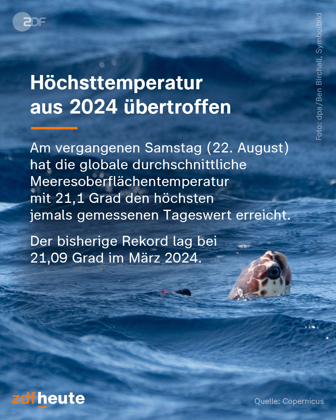 @zdfheute: Höchsttemperatur aus 2024 übertroffen