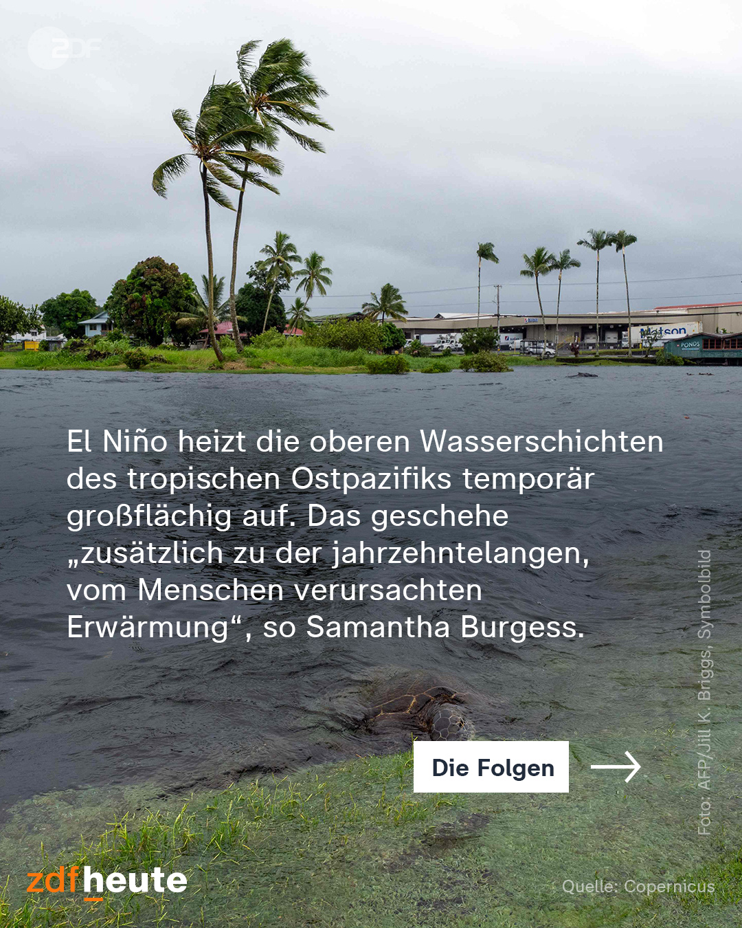 @zdfheute: El Nino