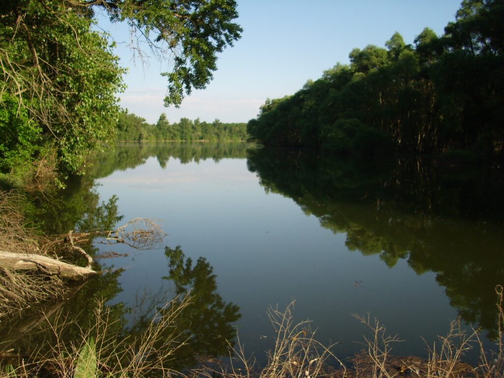 Fluss