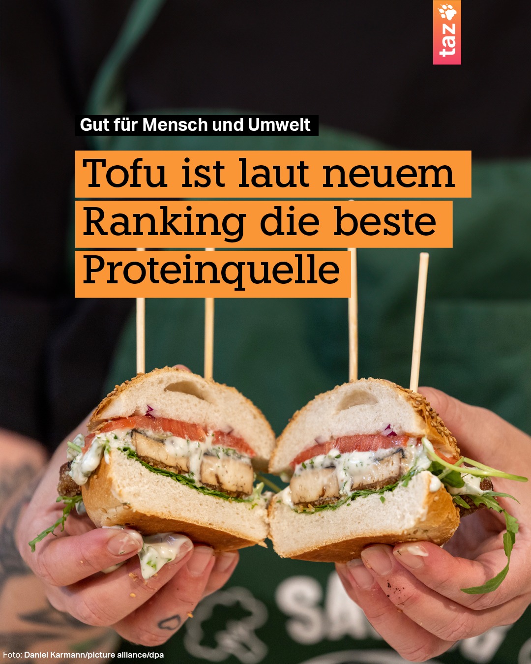 @klima.taz: Tofu ist laut neuem Ranking die beste Proteinquelle