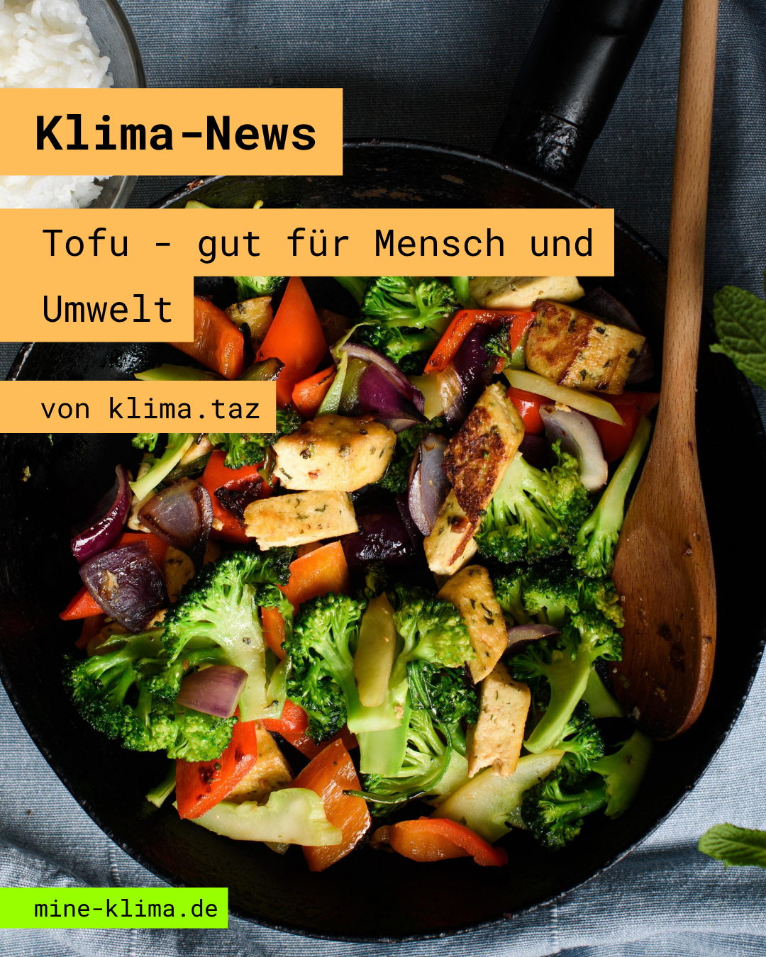 Klima-News: Tofu - gut für Mensch und Umwelt