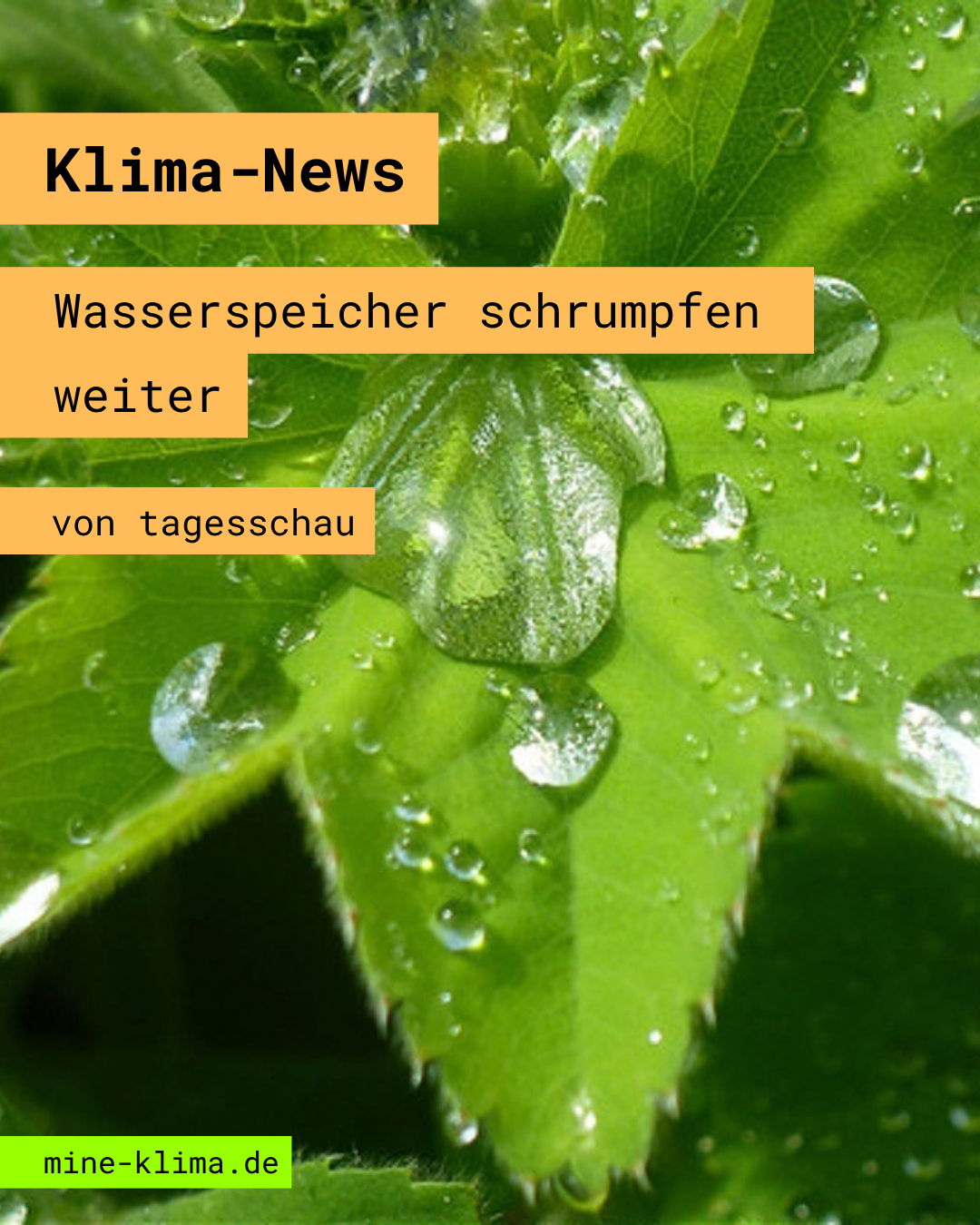 Klima-News: Wasserspeicher schrumpfen weiter