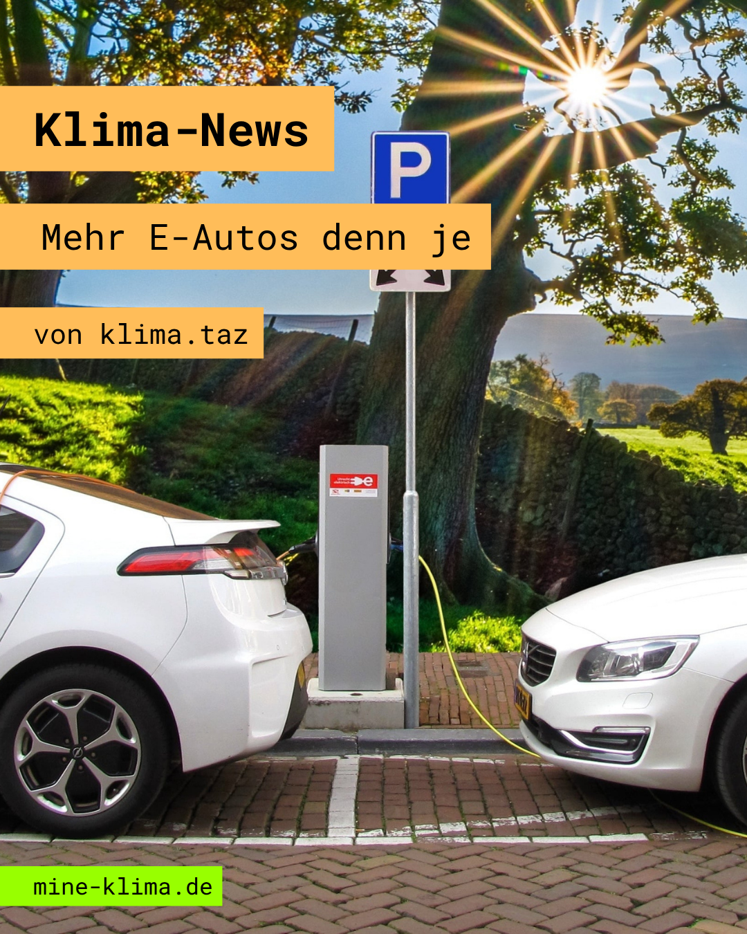 Klima-News: Mehr E-Autos denn je
